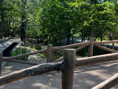 -白水寺森林公园