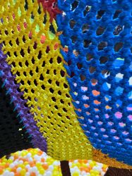 -哒卟溜欢乐王国(禹州城市广场店)