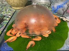 -渔家火锅·海鲜自助餐·演艺(亚龙湾天域酒店)