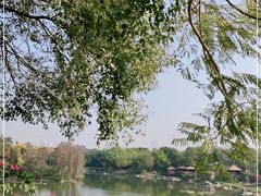 -海珠湖公园