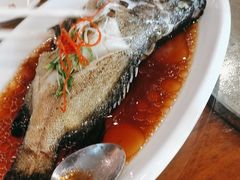 -糟粕醋·椰苑海南菜餐厅(亚龙湾天域酒店)