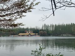 -东平国家森林公园
