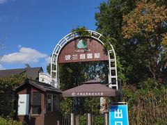 -金山农民画村-枫泾波兰倒置屋