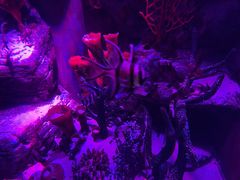 -沈阳海洋探索中心