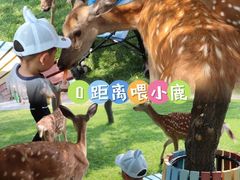 -北京鹿世界主题园