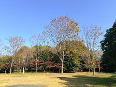 -尚贤河湿地