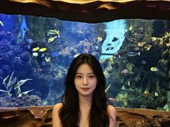 -芜湖新华联大白鲸海洋公园