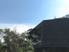 -福道