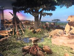 -国家自然博物馆