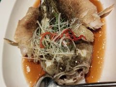 -望乡楼上海菜(日月光店)