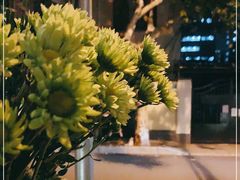 -Apollo·西班牙小酒馆(安福路店)