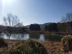-长广溪湿地公园