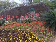 -瑶湖郊野森林公园