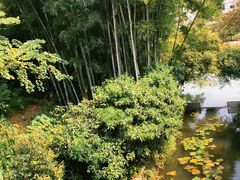 -广东温泉宾馆