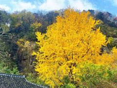 -狼山风景名胜区