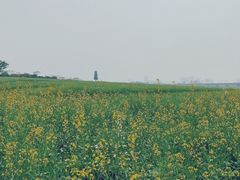 -光明小镇欢乐田园
