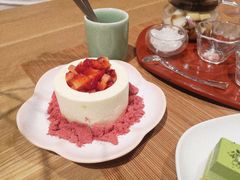 -柴务处·柴犬主题狗咖