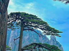-黄山风景区