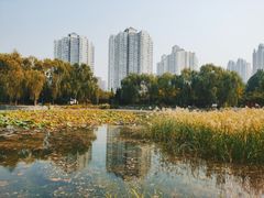 -望湖公园