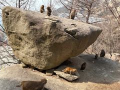 -青岛崂山太清宫