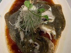 清蒸多宝鱼-苏浙汇(朝外店)