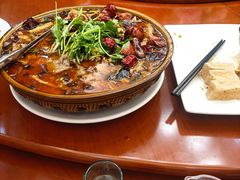 -杨记新泉美食