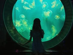 -成都浩海立方海洋公园