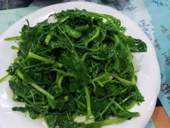 炒豌豆尖-泸沽肴(泸沽湖大洛水村农村信用社旁店)