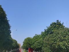 -艾溪湖湿地公园