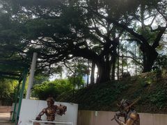 -九龙公园