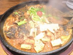 -老板恋上鱼(恒隆广场店)