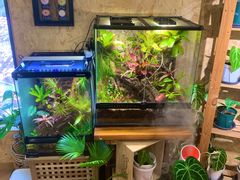 -Rabbit Cafe私房西餐甜点咖啡(栖霞路店)