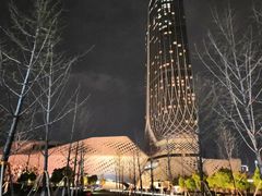 -南京国际青年文化中心