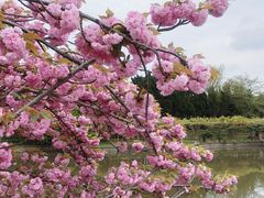 -尹兰楼西北风情餐厅(嘉定店)