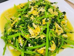 -仙客石锅牛肉