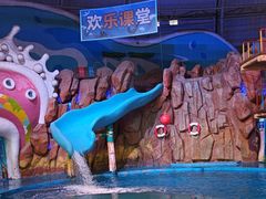 -烟台海昌鲸鲨海洋公园