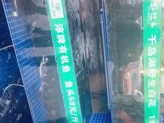 -好灶头妈妈菜·千岛湖柴火鱼餐厅(桐庐店)