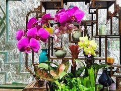 -宣武艺园