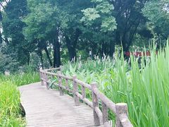-成都市活水公园