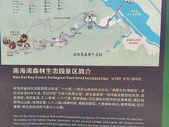 -南海湾森林生态园