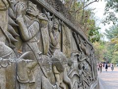 -西双版纳原始森林公园