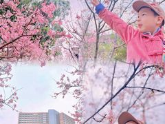 -广州汇华希尔顿逸林酒店