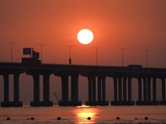 -宝安西湾红树林湿地公园