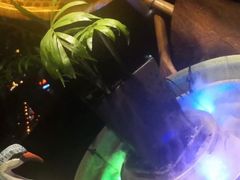 -唐拉雅秀酒店-西锦汇空中BBQ·思创餐厅