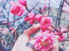 -北京明城墙遗址公园