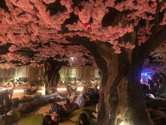 -蓝鲸湾汤泉(包河店)