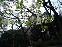 -金陵图书馆