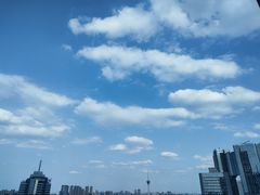 -富力丽思卡尔顿酒店·丽轩中餐厅