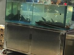 水产区-本炙炭烤·蒲烧活鳗料理店(金沙洲店)