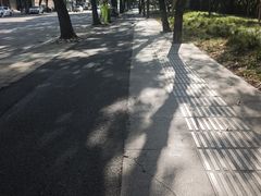 -花园菜市场